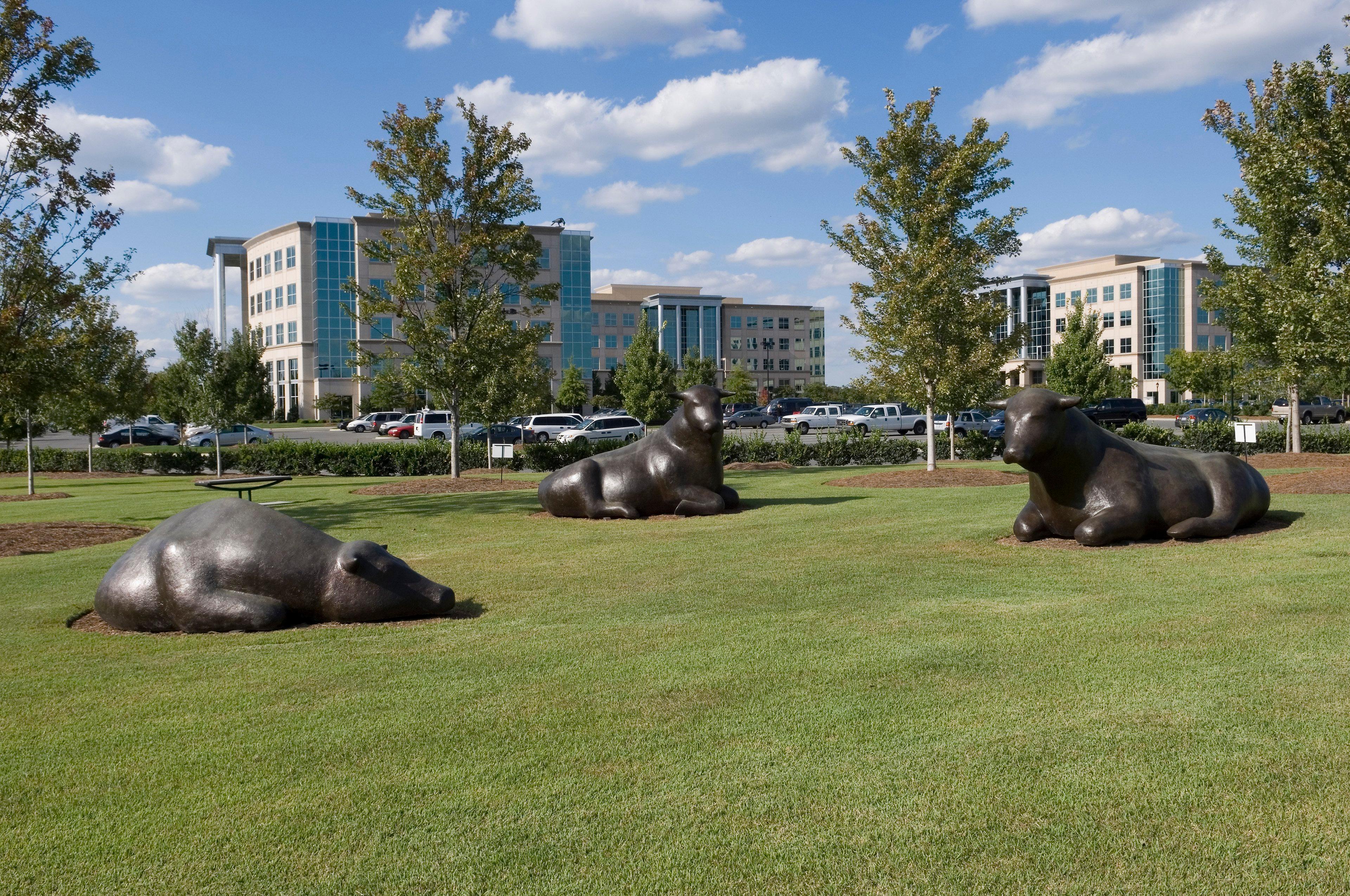 Staybridge Suites - Charlotte Ballantyne By Ihg Экстерьер фото